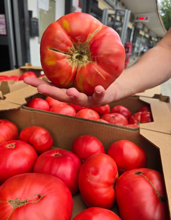 Rosa Tomaten
